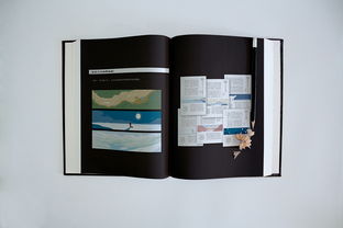 個(gè)人作品集書(shū)裝印刷版 包裝裝潢印刷的藝術(shù)與實(shí)用指南