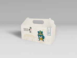 合肥特產獅子頭包裝設計 融合傳統(tǒng)與現代的包裝裝潢藝術